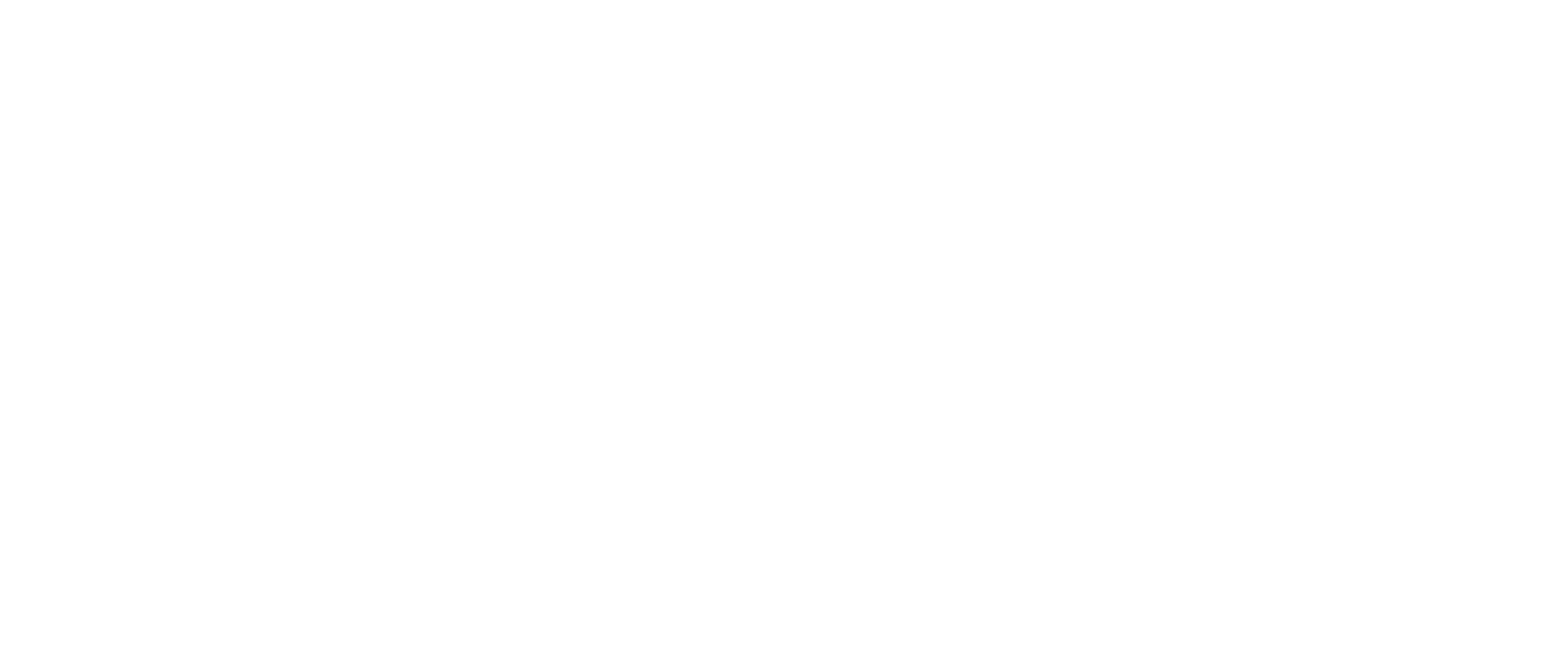 Hayley Guitars Logo White